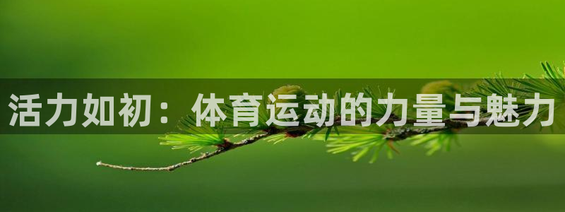 betway西汉姆