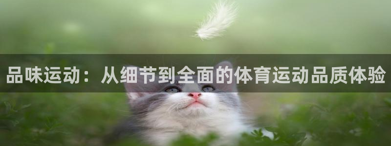 必威betway西汉姆联