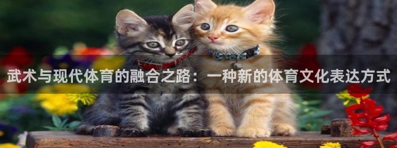 betway西汉姆联